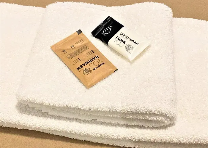 Daire Rue Sarret Xxl